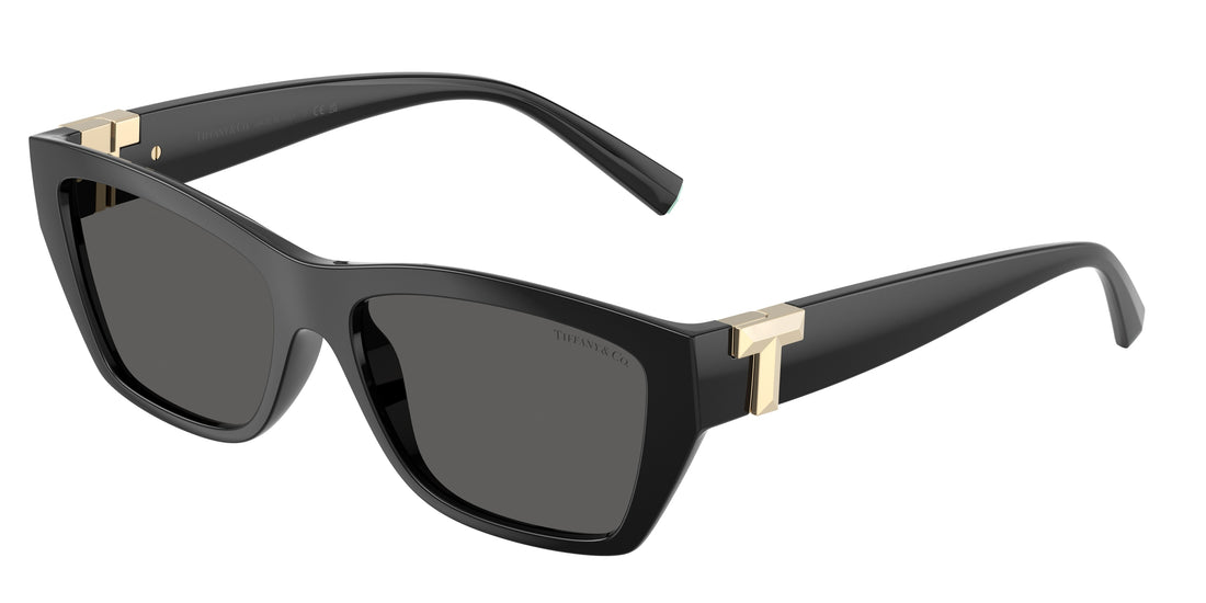 Lunettes de soleil tiffany tf4255u 8001s4 negro rectangular unisex taille 56mm - Vue principale