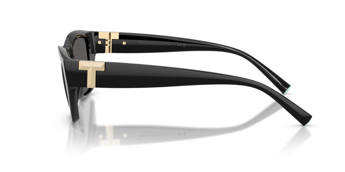 Lunettes de soleil tiffany tf4255u 8001s4 negro rectangular unisex taille 56mm - Vue détaillée