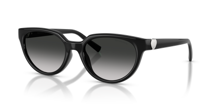 TIFFANY TF4256D 80013C 55