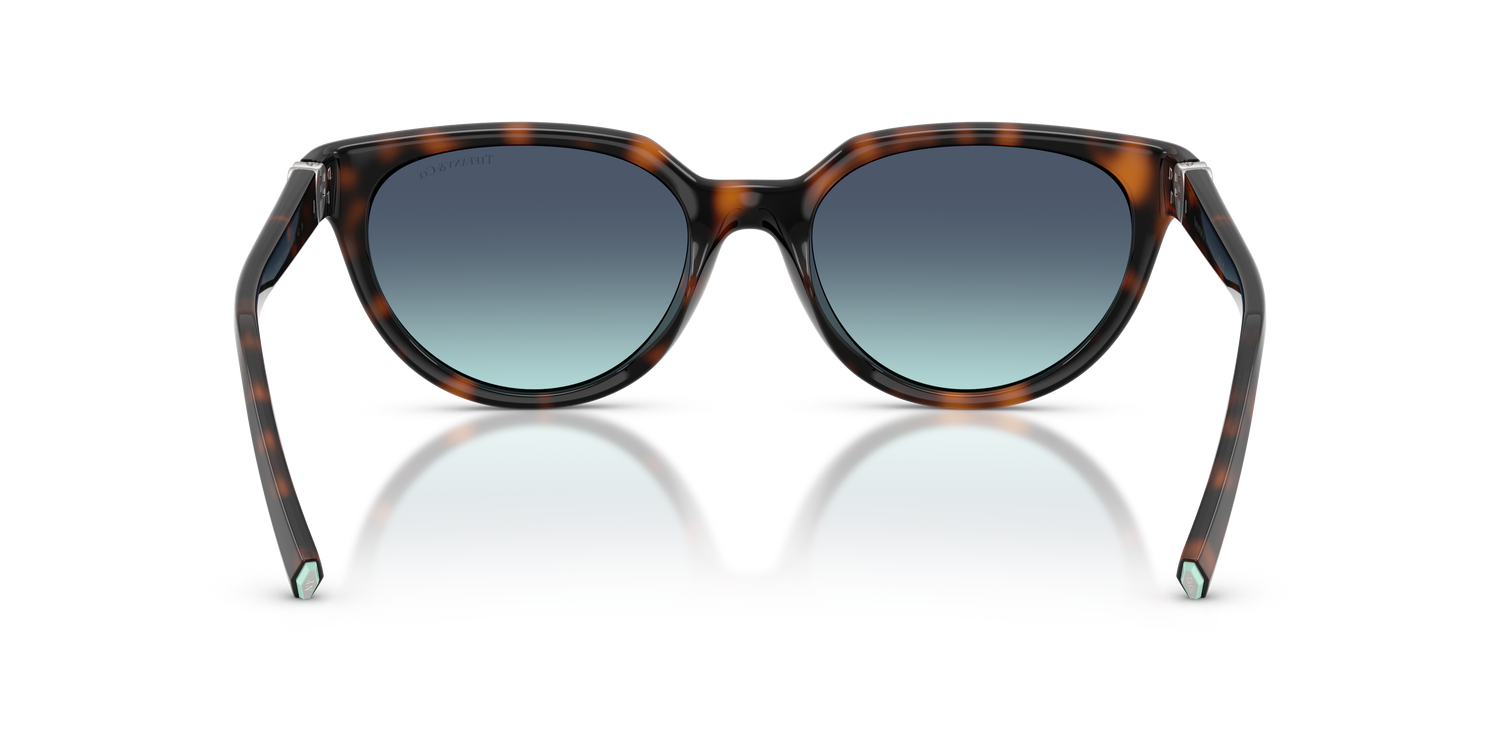 TIFFANY TF4256D 80159S 55