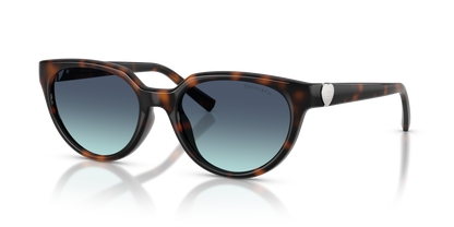 TIFFANY TF4256D 80159S 55