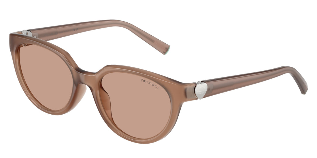 Lunettes de soleil tiffany tf4256d 844973 marron cat eye femenino taille 55mm - Vue principale