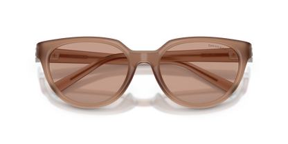 TIFFANY TF4256D 844973 55
