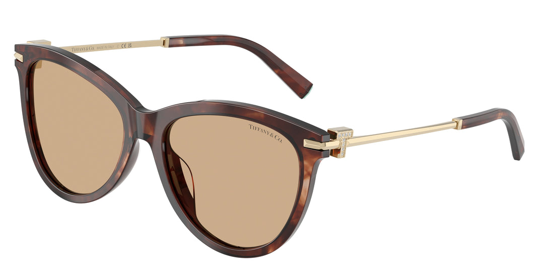 Lunettes de soleil tiffany tf4258bu 8421/8 marron pantos femenino taille 57mm - Vue principale