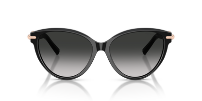 TIFFANY TF4261 80013C 56