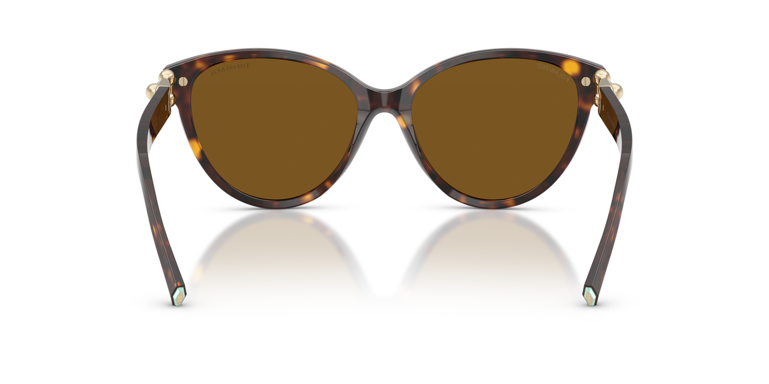 TIFFANY TF4261 801583 56