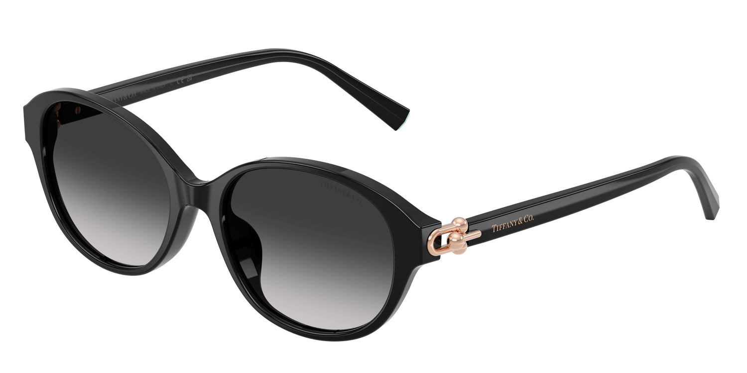 TIFFANY TF4263D 80013C 54