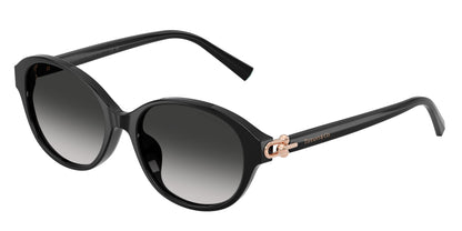 TIFFANY TF4263D 80013C 54