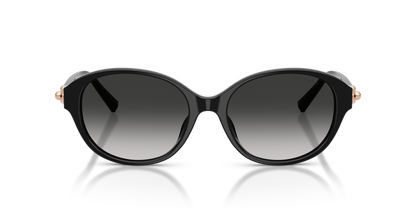 TIFFANY TF4263D 80013C 54
