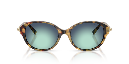 TIFFANY TF4263D 80649S 54