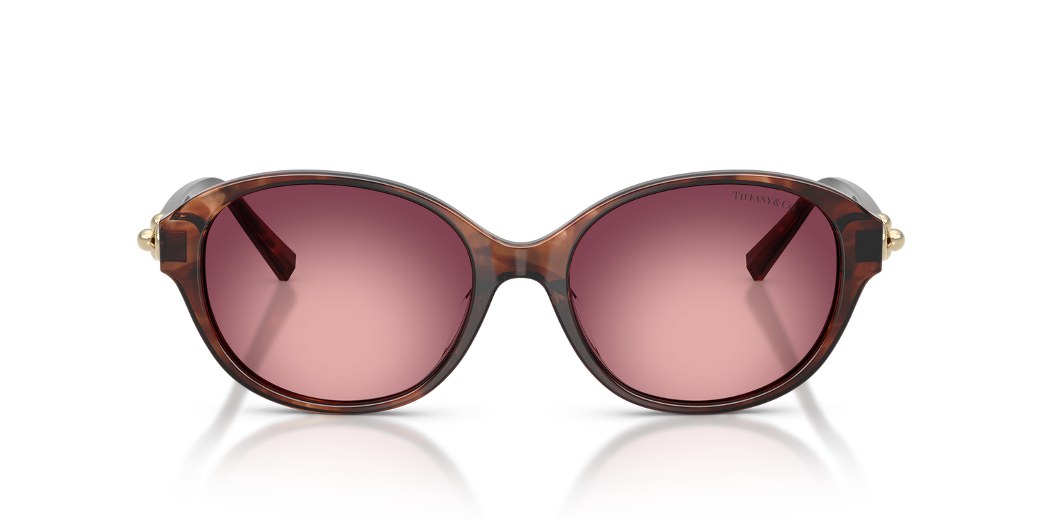 TIFFANY TF4263D 84218H 54