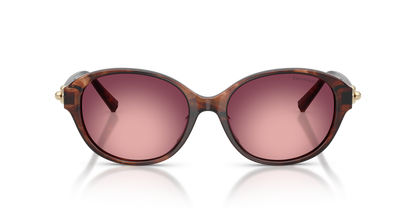 TIFFANY TF4263D 84218H 54