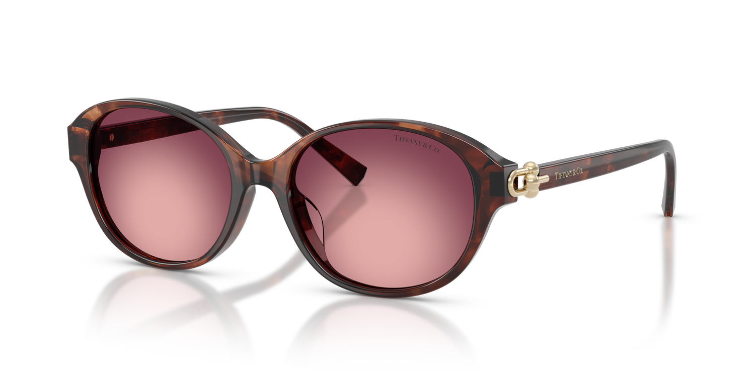 TIFFANY TF4263D 84218H 54