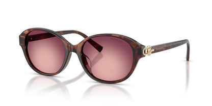 TIFFANY TF4263D 84218H 54