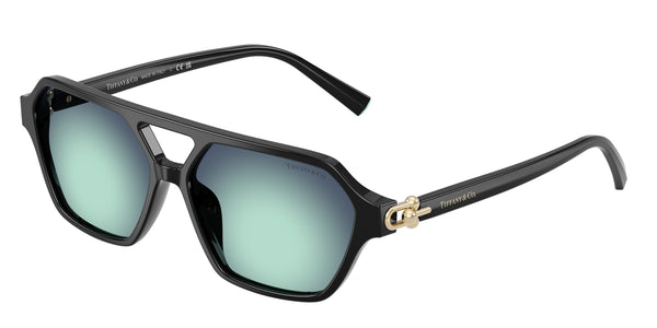 TIFFANY TF4264U 80019S 58