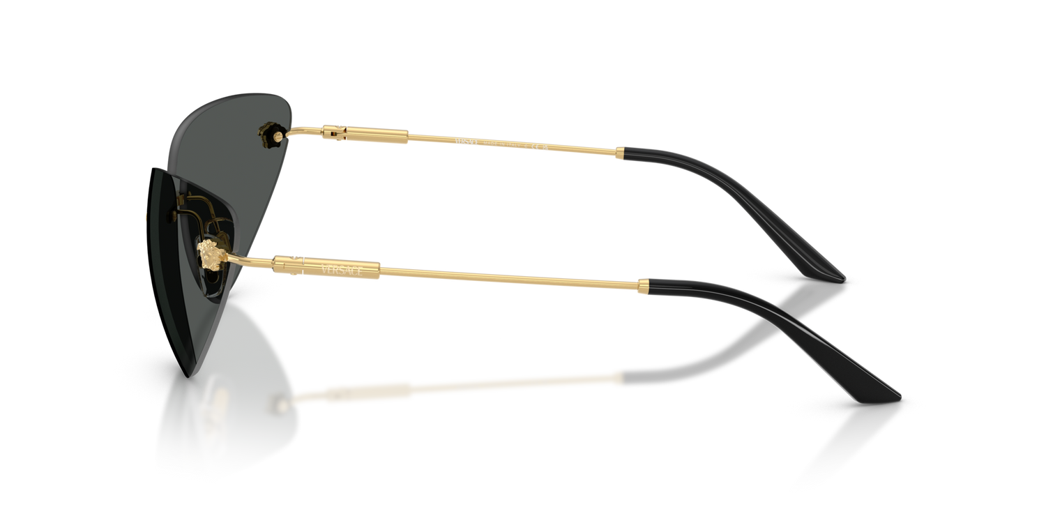 VERSACE VE2281 100287 64
