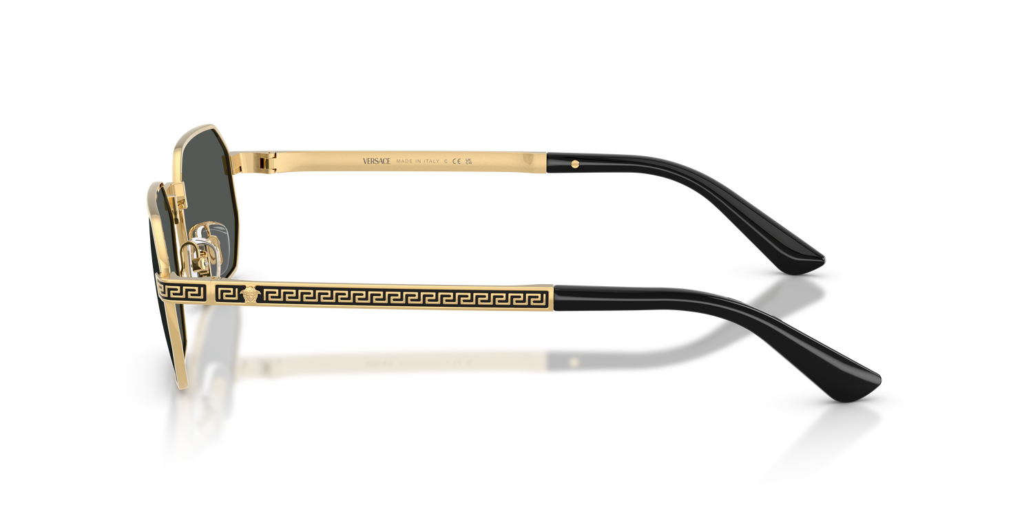 VERSACE VE2297 100287 54