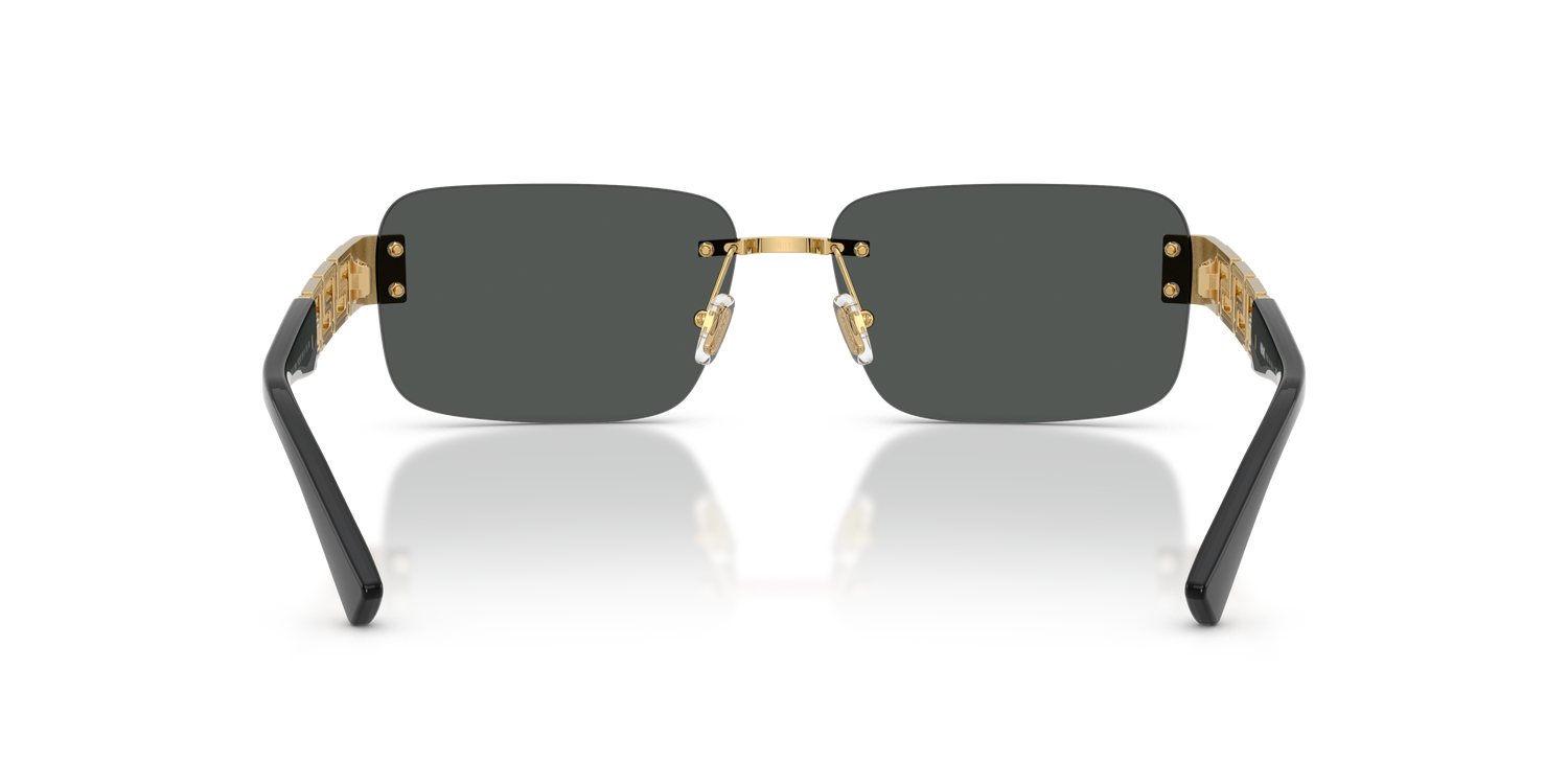 VERSACE VE2298 100287 58