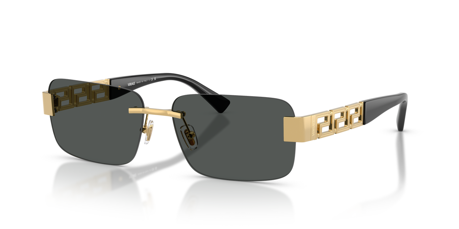 VERSACE VE2298 100287 58