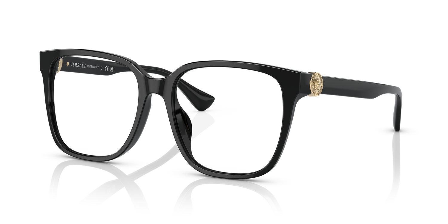 VERSACE VE3332D GB1 55