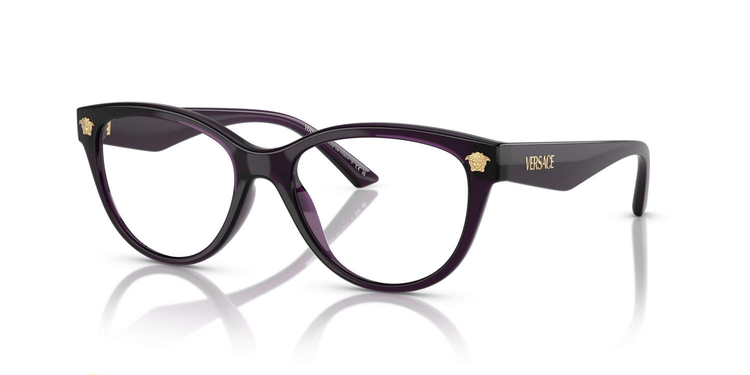 VERSACE VE3365U 5263 54