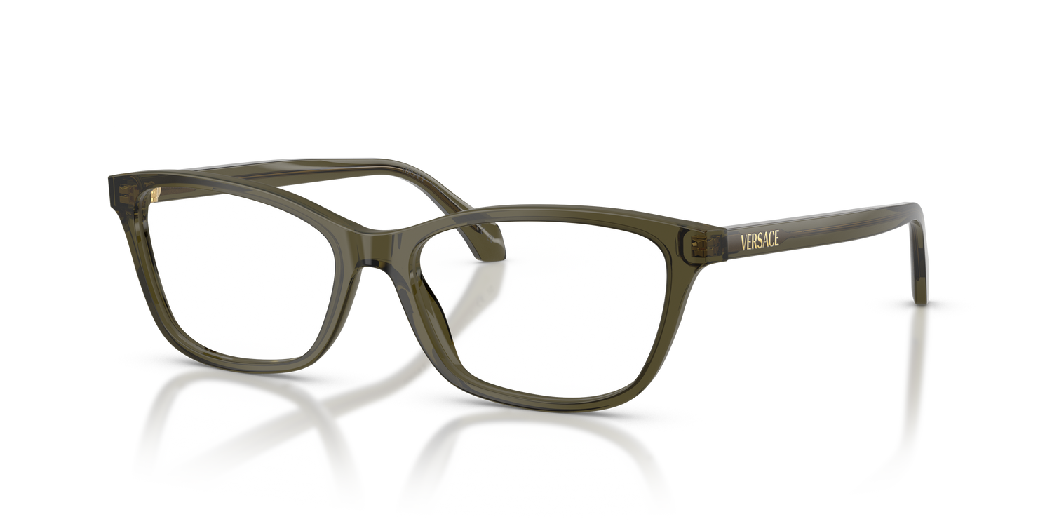 VERSACE VE3375 5542 54