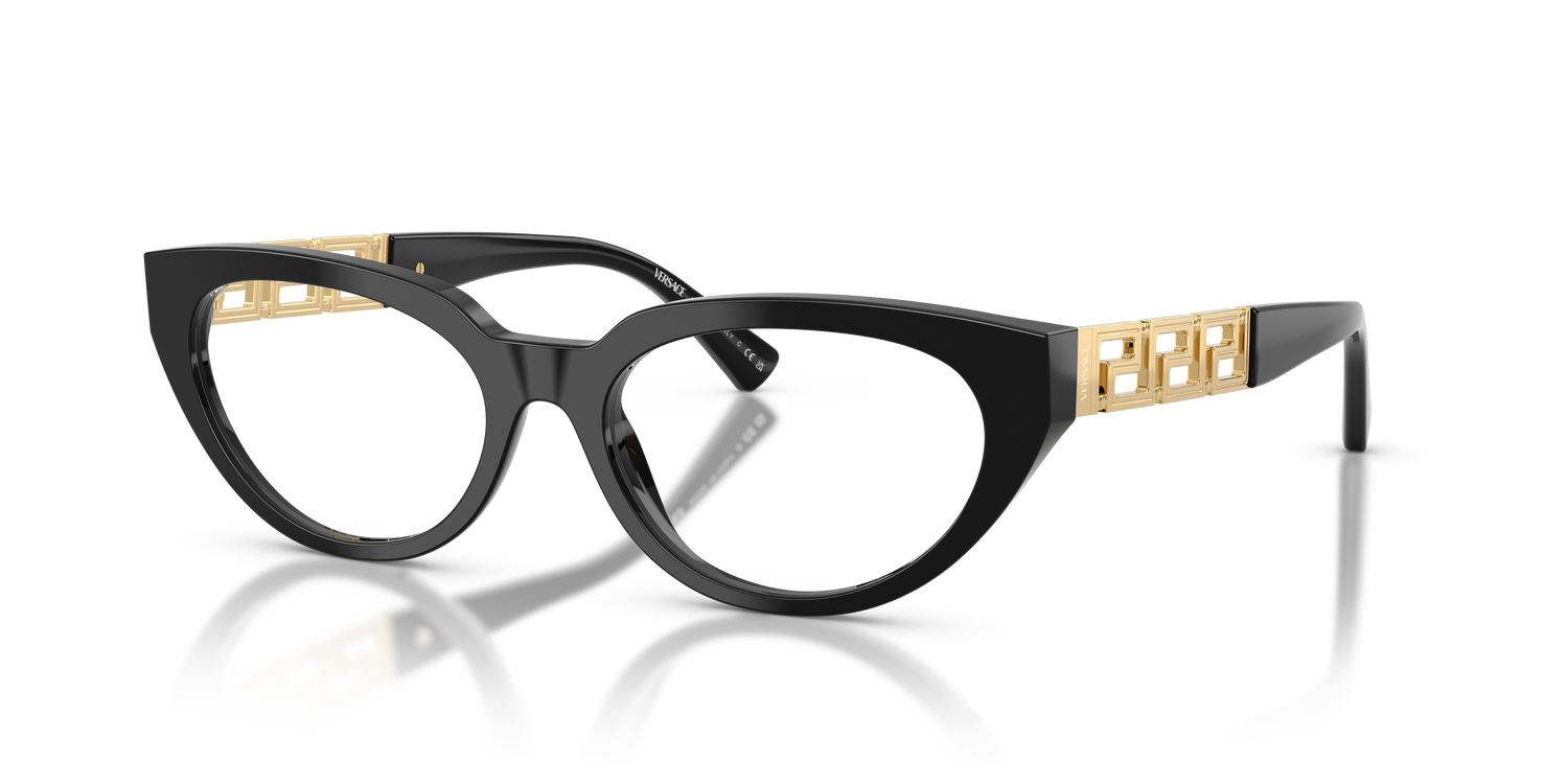 VERSACE VE3383 GB1 54