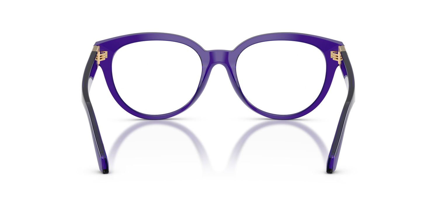 VERSACE VE3384 5545 53