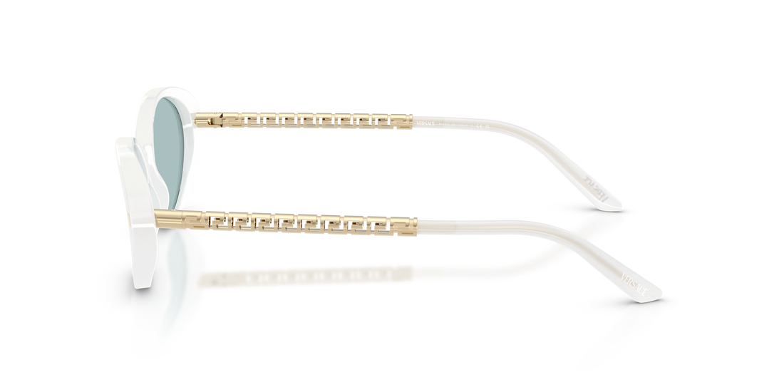 VERSACE VE4469 547172 54