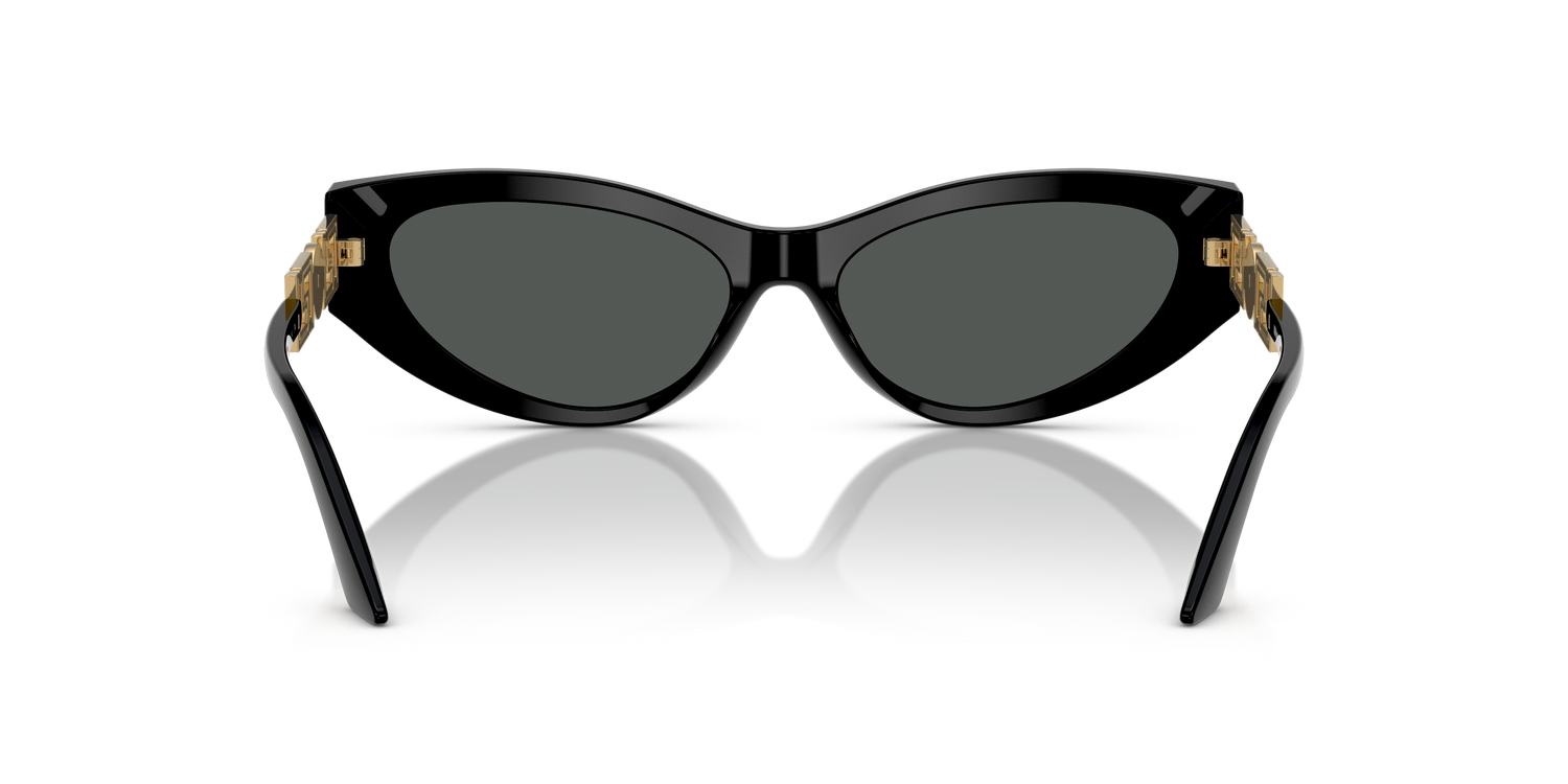 VERSACE VE4470B GB1/87 56