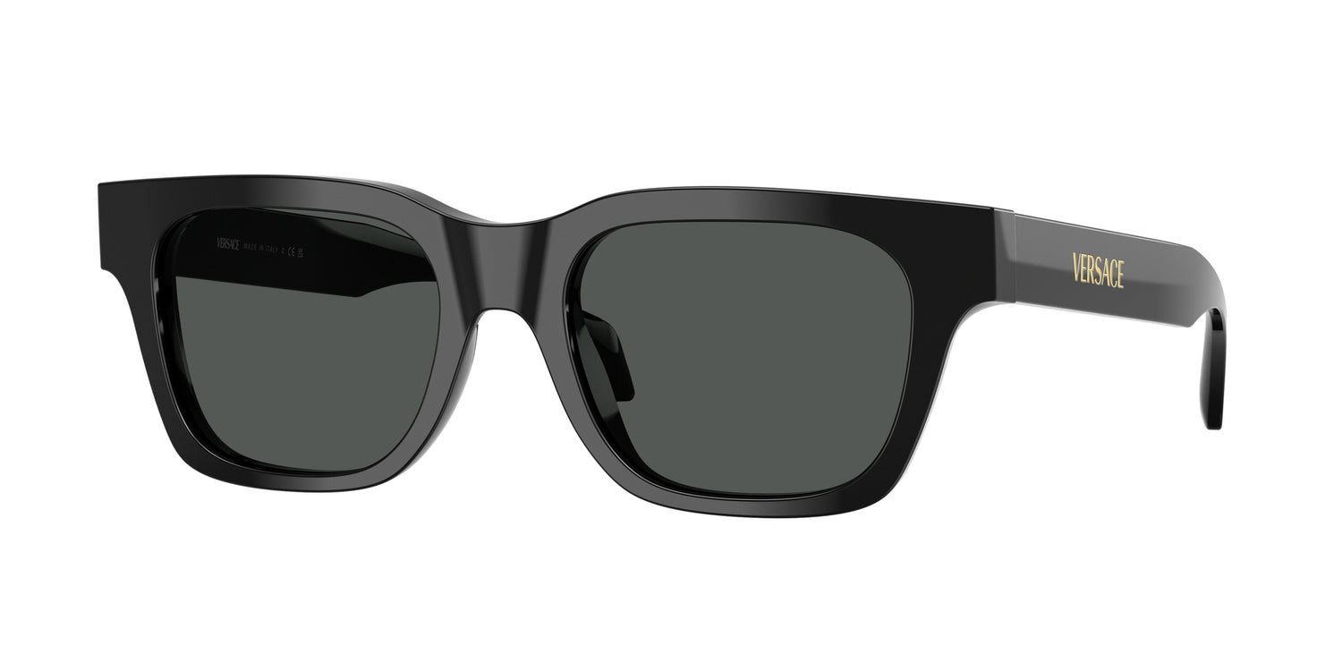VERSACE VE4486 GB1/87 52