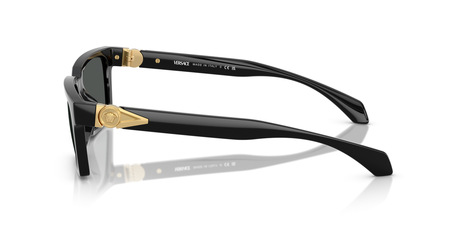 VERSACE VE4490U GB1/87 55