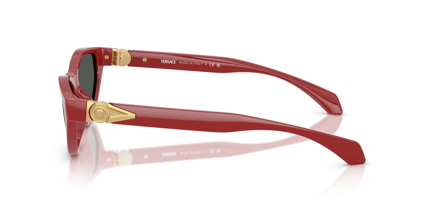 VERSACE VE4491U 538887 55