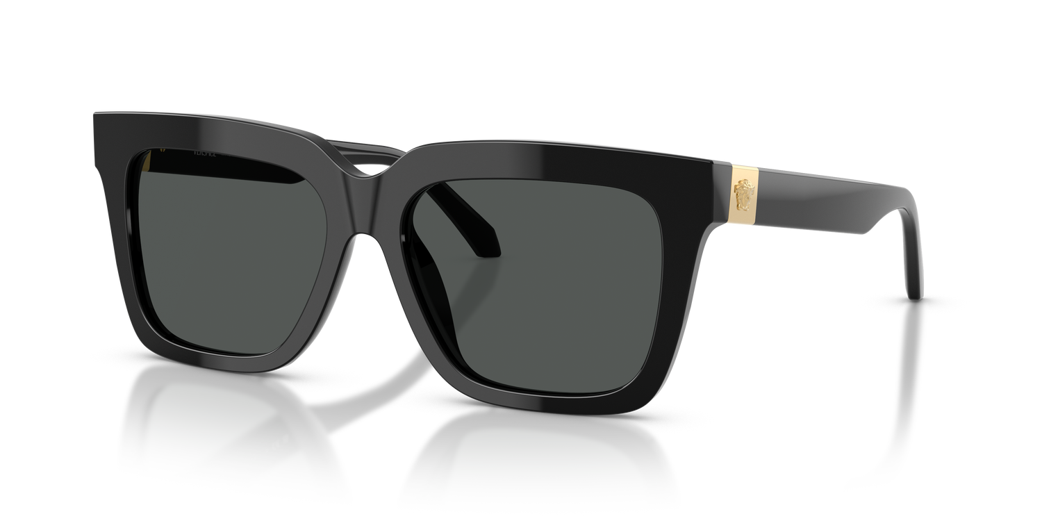 VERSACE VE4498 GB1/87 55