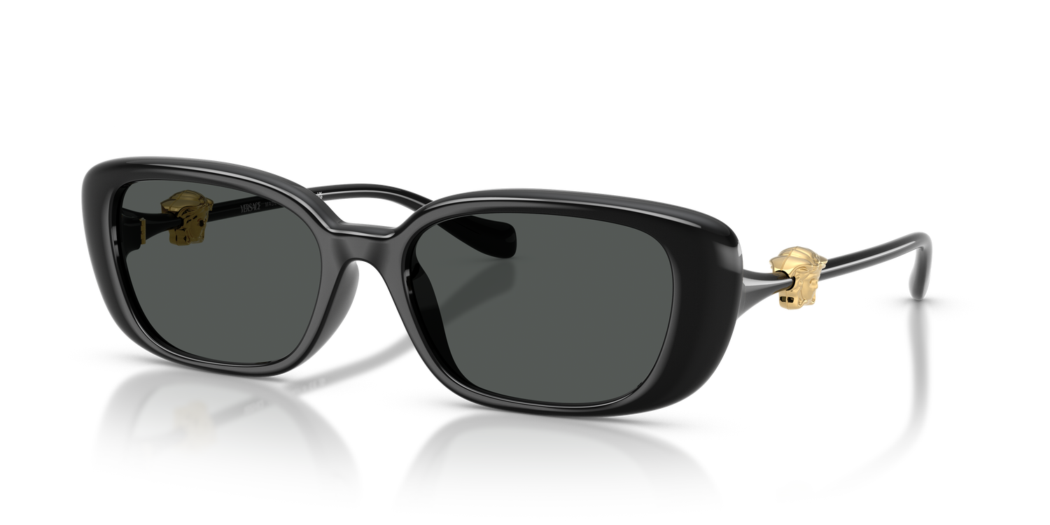 VERSACE VE4504D GB1/87 56