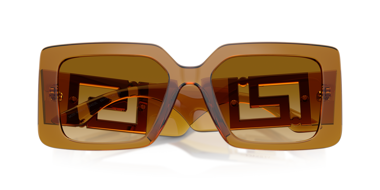 VERSACE VE4505U 53422L 55