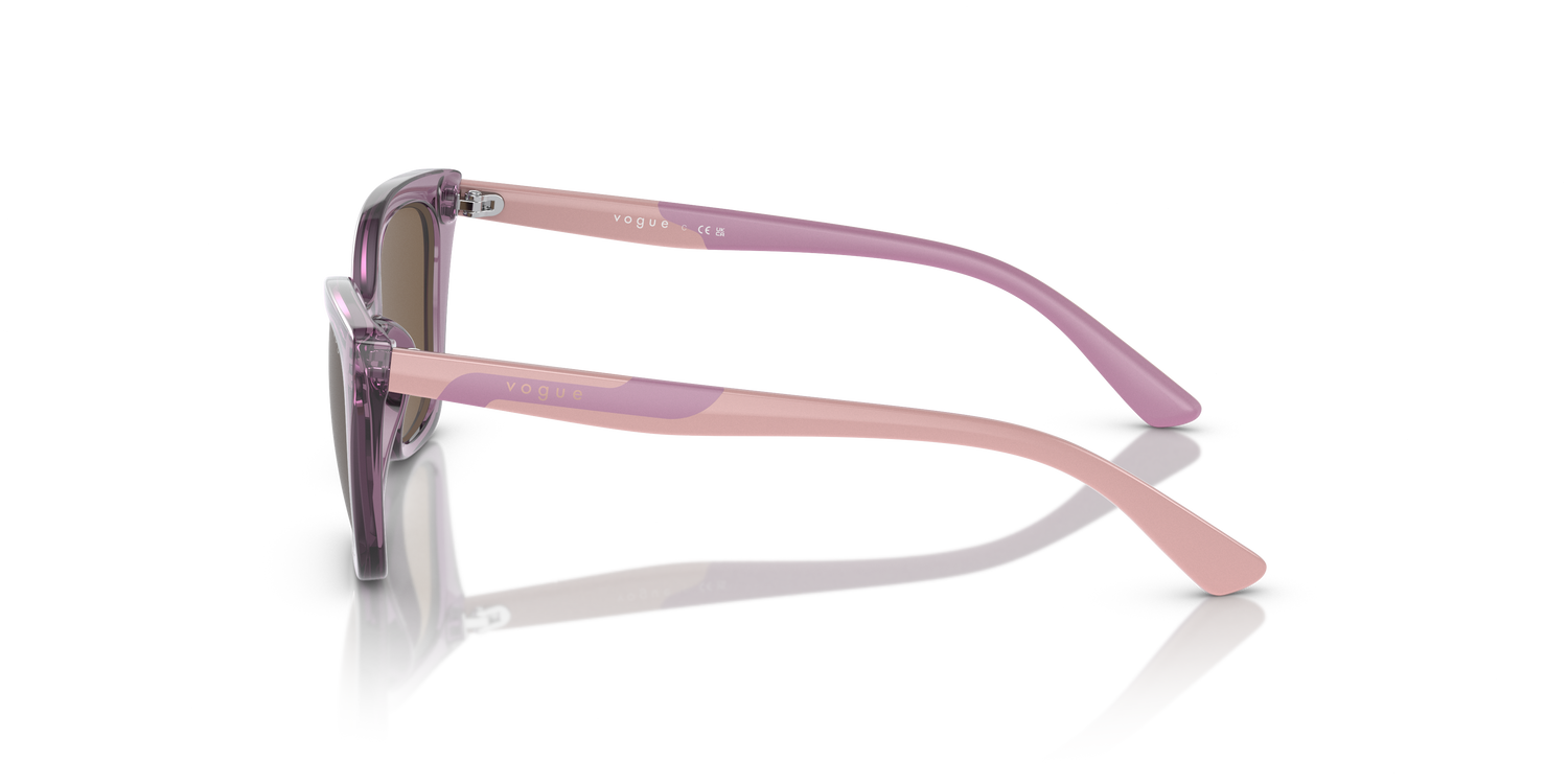 VOGUE EYEWEAR VJ2020 306473 48