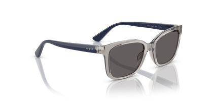 VOGUE EYEWEAR VJ2027 272687 49