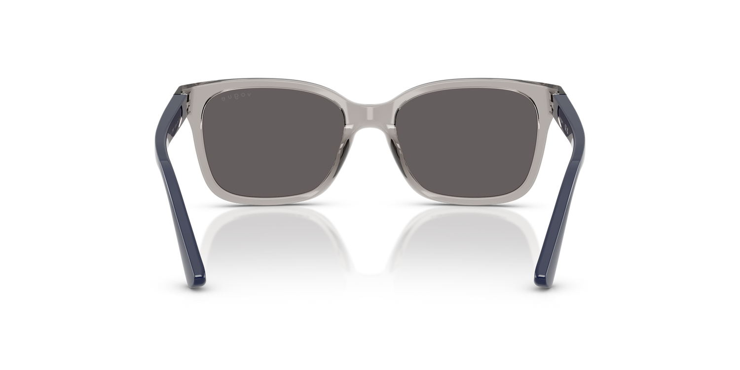 VOGUE EYEWEAR VJ2027 272687 49