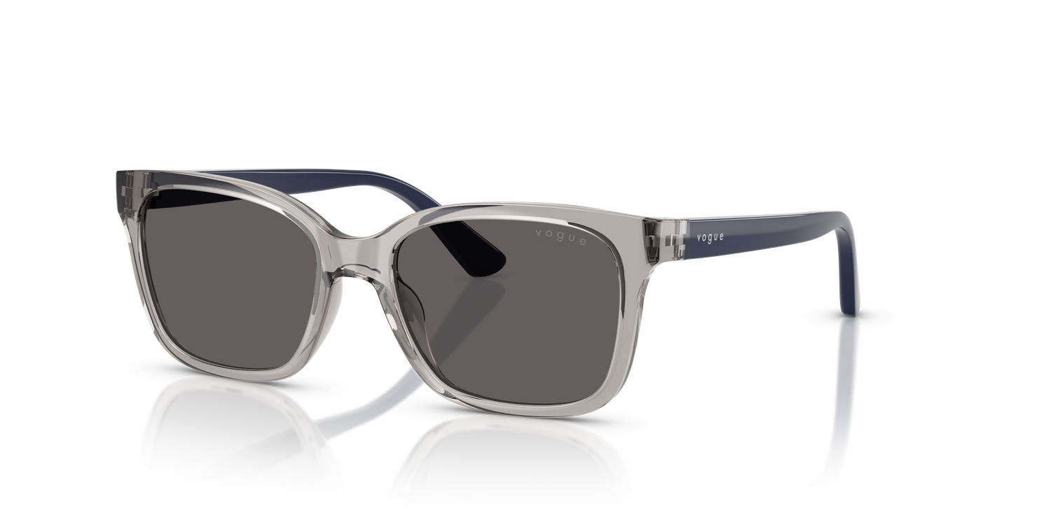 VOGUE EYEWEAR VJ2027 272687 49