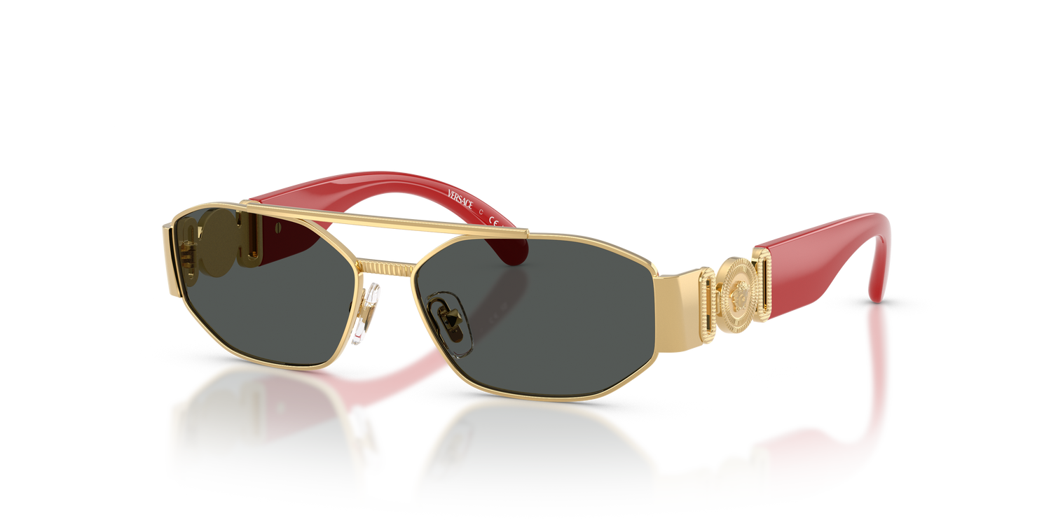 VERSACE VK2003 151287 50