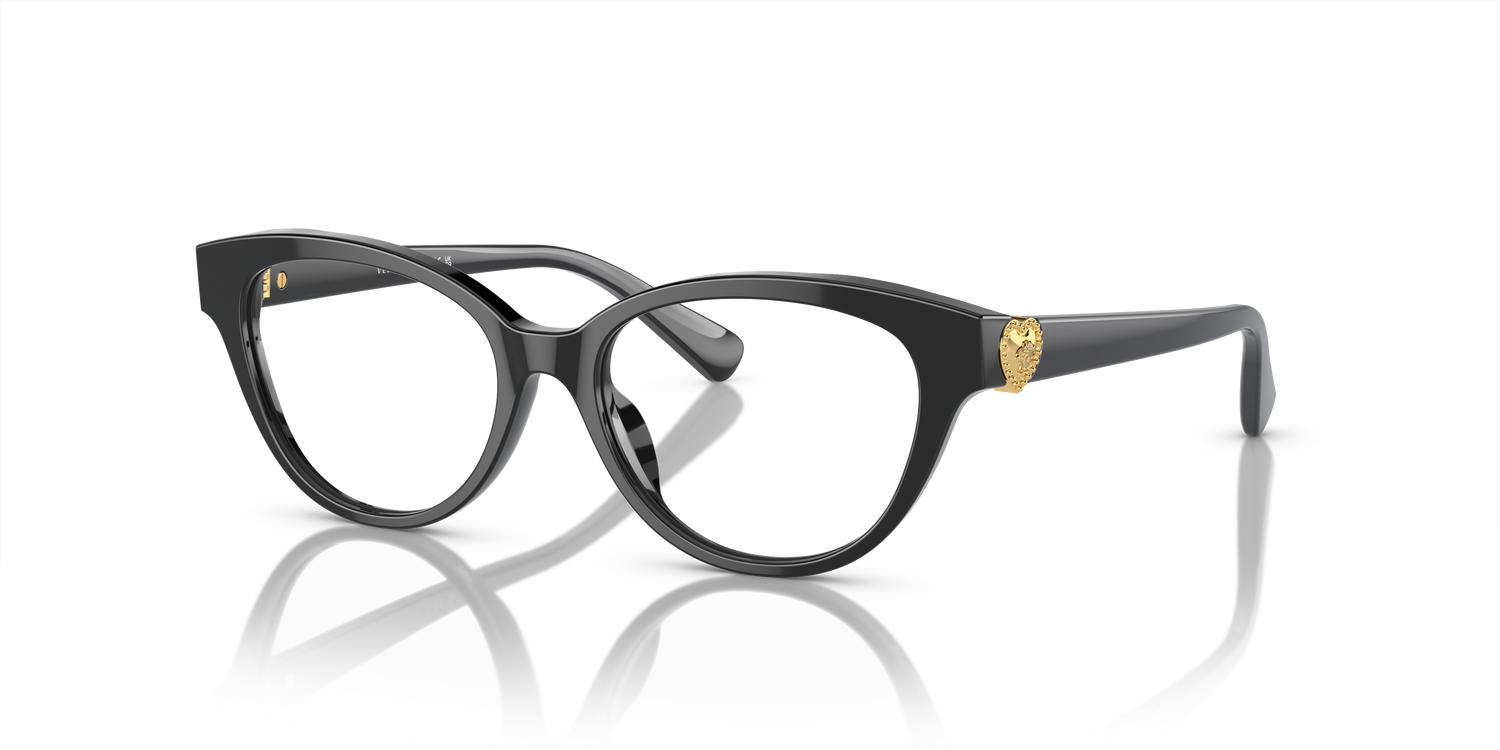 VERSACE VK3004 GB1 48