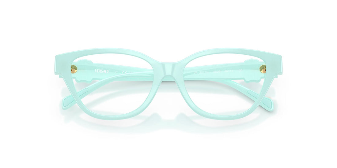 VERSACE VK3011U 5528 49