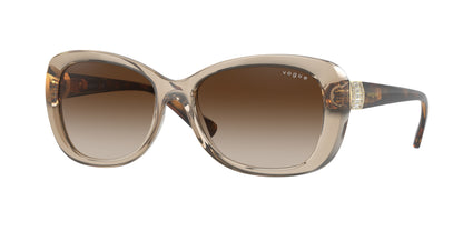 VOGUE EYEWEAR VO2943SB 299013 55