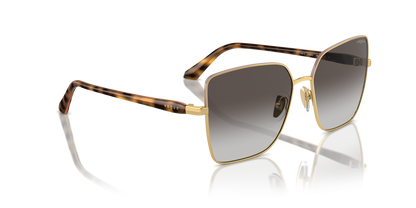 VOGUE EYEWEAR VO4199S 51988G 58