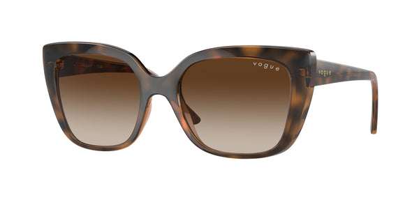 VOGUE EYEWEAR VO5337S 238613 53