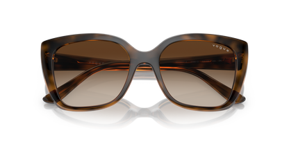 VOGUE EYEWEAR VO5337S 238613 53
