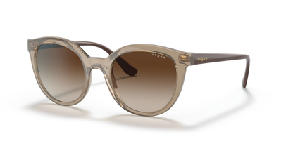 VOGUE EYEWEAR VO5427S 294013 50