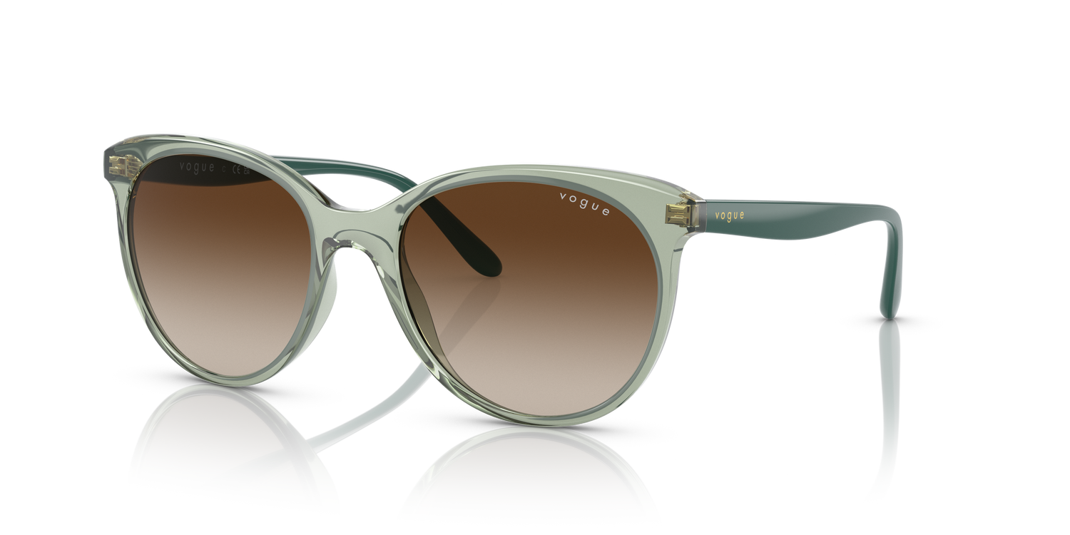 VOGUE EYEWEAR VO5453S 302213 53