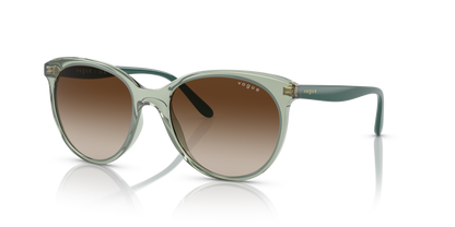 VOGUE EYEWEAR VO5453S 302213 53